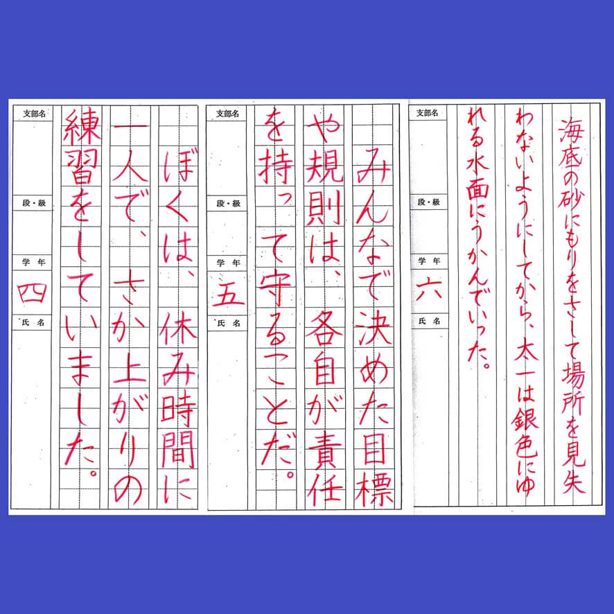 新しい書写 6年生 東京書籍 書道 硬筆 お手本 - 参考書